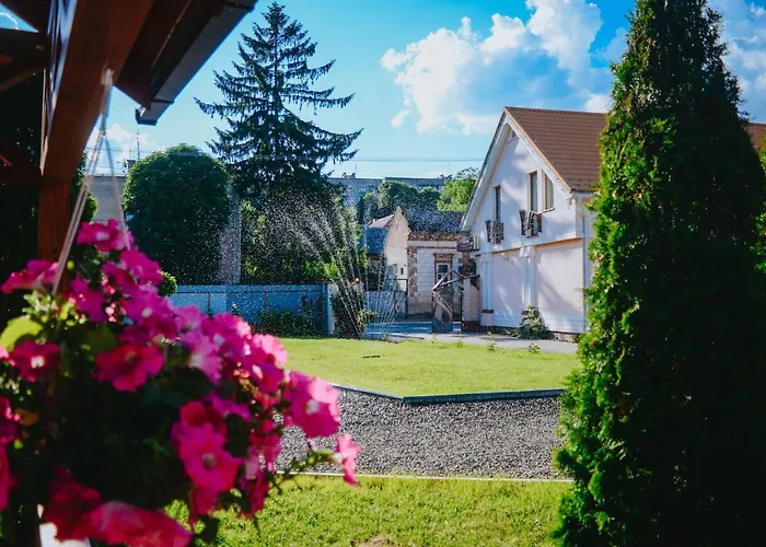 Hotel U Anity Uzhhorod
