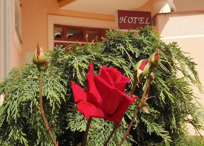 U Anity Otel *