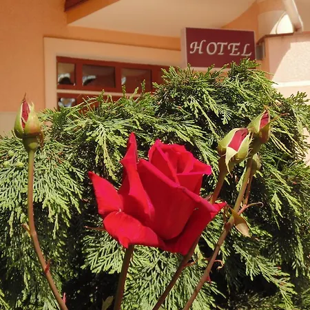 U Anity Hotel *